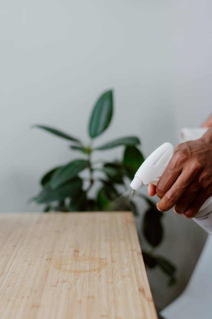 services-04 A hand using a spray bottle to clean a wooden table indoors, with a plant in the background.