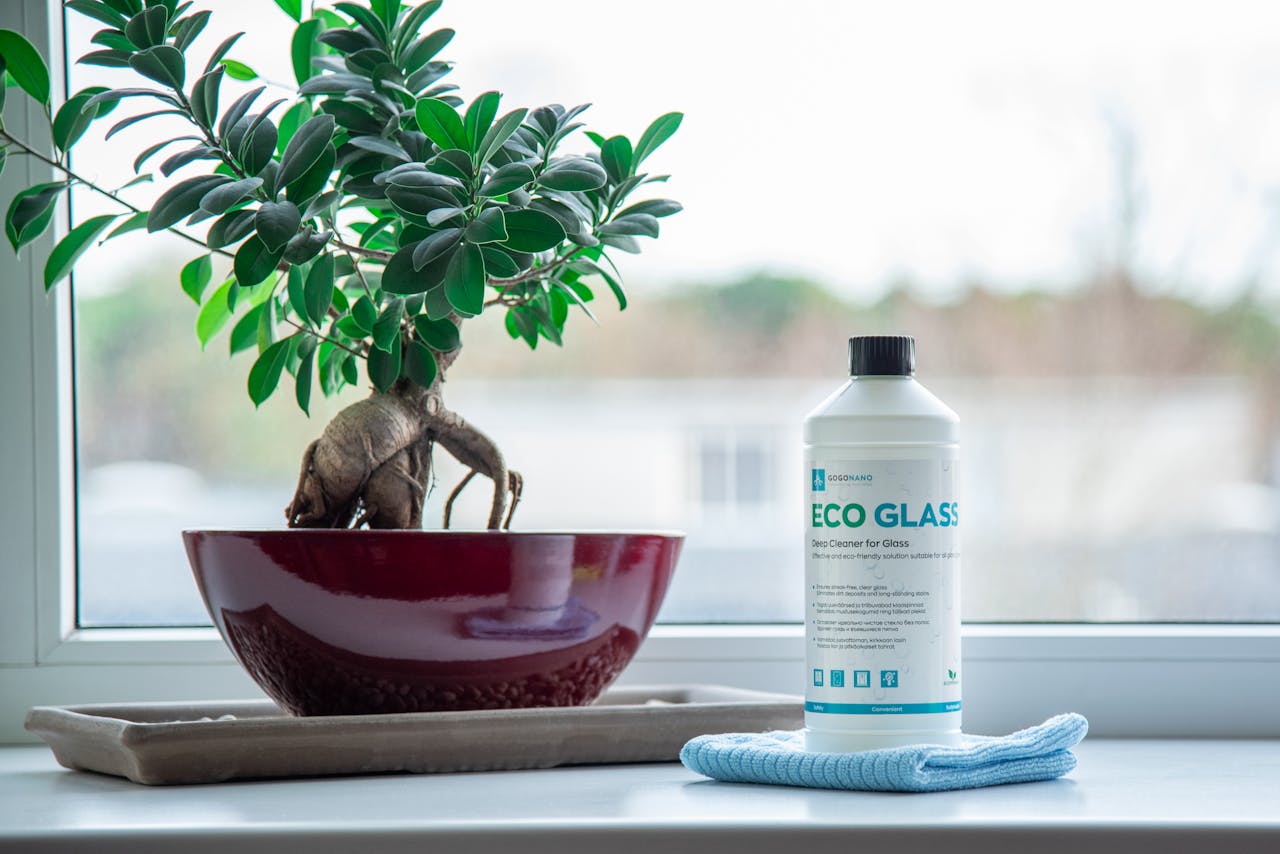 hero-img Eco glass cleaner and bonsai plant on a windowsill in a calm indoor setting.